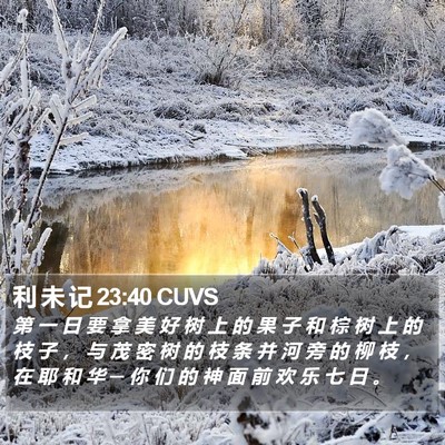 利 未 记 23:40 CUVS Bible Verse Image