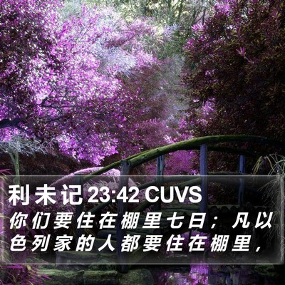 利 未 记 23:42 CUVS Bible Verse Image