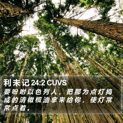 利 未 记 24:2 CUVS Bible Verse Image
