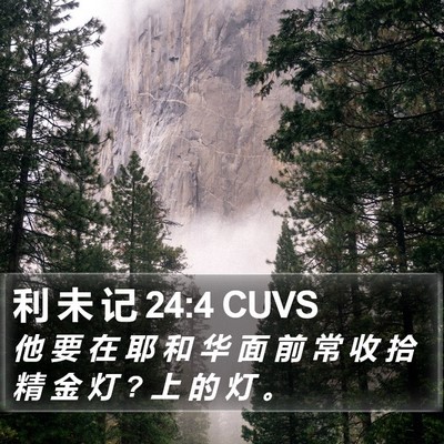 利 未 记 24:4 CUVS Bible Verse Image