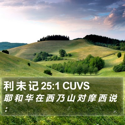 利 未 记 25:1 CUVS Bible Verse Image