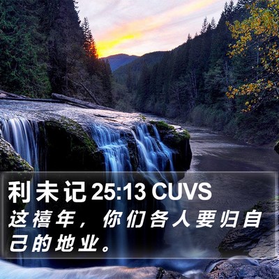 利 未 记 25:13 CUVS Bible Verse Image