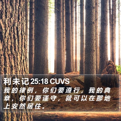 利 未 记 25:18 CUVS Bible Verse Image