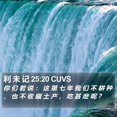 利 未 记 25:20 CUVS Bible Verse Image
