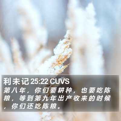 利 未 记 25:22 CUVS Bible Verse Image