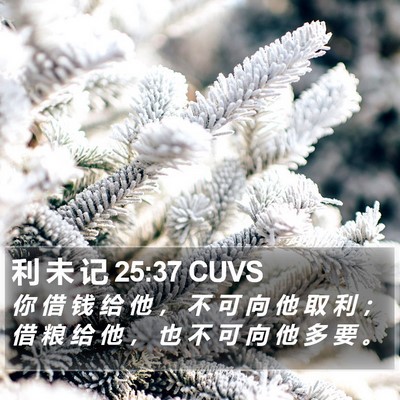 利 未 记 25:37 CUVS Bible Verse Image