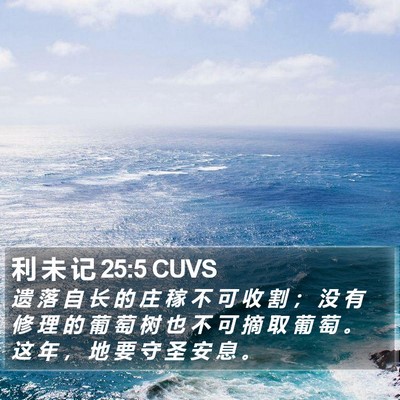 利 未 记 25:5 CUVS Bible Verse Image