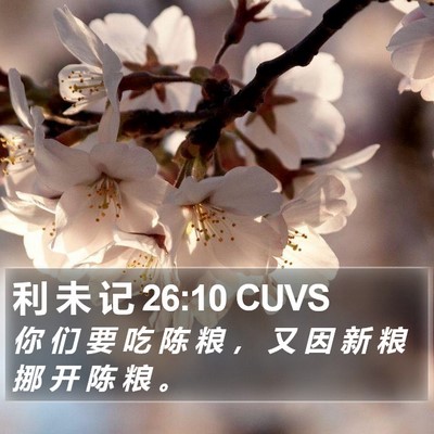利 未 记 26:10 CUVS Bible Verse Image