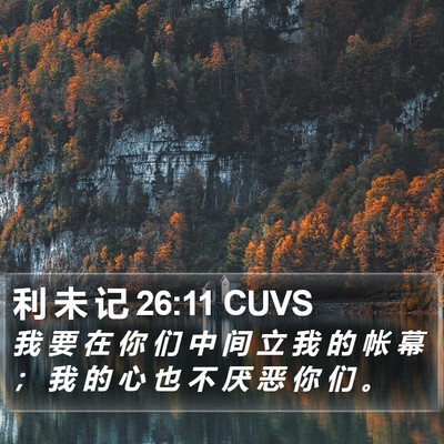 利 未 记 26:11 CUVS Bible Verse Image