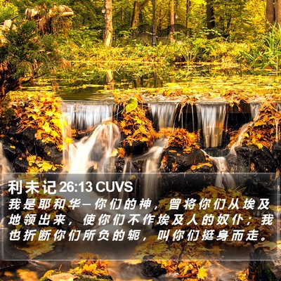 利 未 记 26:13 CUVS Bible Verse Image
