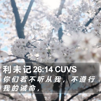 利 未 记 26:14 CUVS Bible Verse Image