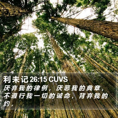 利 未 记 26:15 CUVS Bible Verse Image