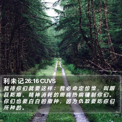 利 未 记 26:16 CUVS Bible Verse Image