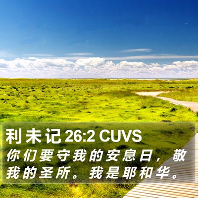 利 未 记 26:2 CUVS Bible Verse Image