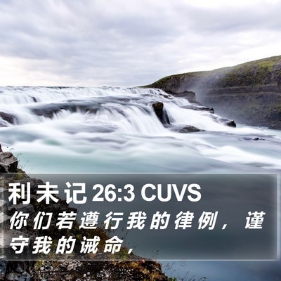 利 未 记 26:3 CUVS Bible Verse Image