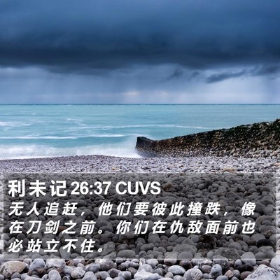 利 未 记 26:37 CUVS Bible Verse Image