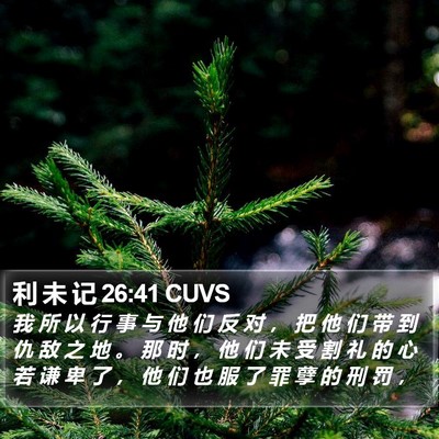 利 未 记 26:41 CUVS Bible Verse Image