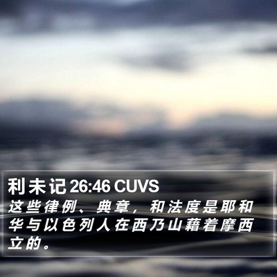 利 未 记 26:46 CUVS Bible Verse Image
