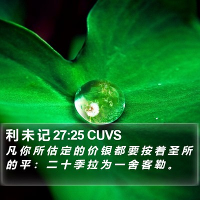 利 未 记 27:25 CUVS Bible Verse Image