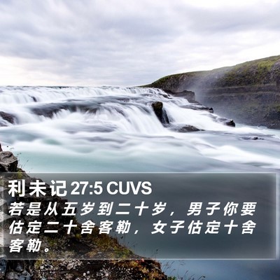 利 未 记 27:5 CUVS Bible Verse Image