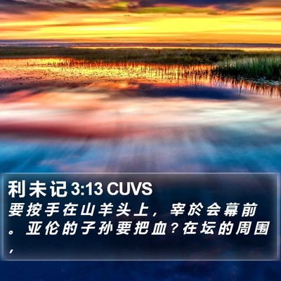 利 未 记 3:13 CUVS Bible Verse Image