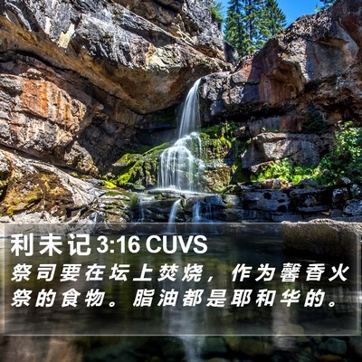 利 未 记 3:16 CUVS Bible Verse Image