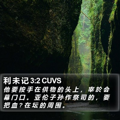 利 未 记 3:2 CUVS Bible Verse Image