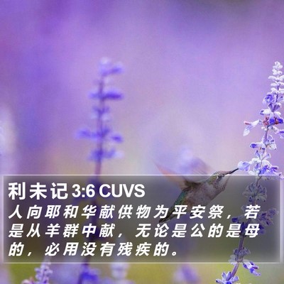 利 未 记 3:6 CUVS Bible Verse Image