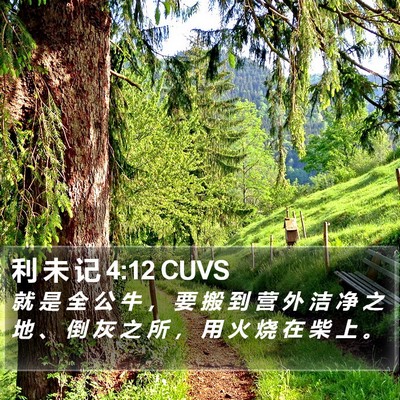 利 未 记 4:12 CUVS Bible Verse Image