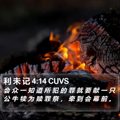 利 未 记 4:14 CUVS Bible Verse Image