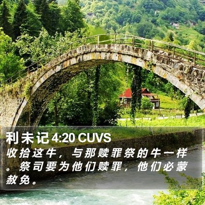 利 未 记 4:20 CUVS Bible Verse Image