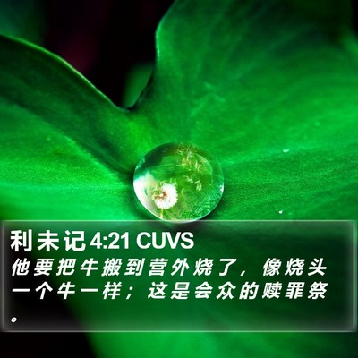 利 未 记 4:21 CUVS Bible Verse Image
