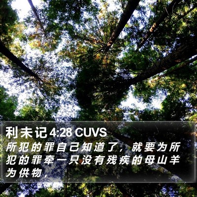 利 未 记 4:28 CUVS Bible Verse Image