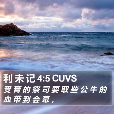 利 未 记 4:5 CUVS Bible Verse Image