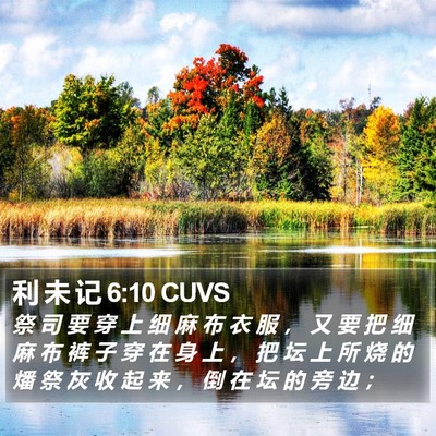 利 未 记 6:10 CUVS Bible Verse Image