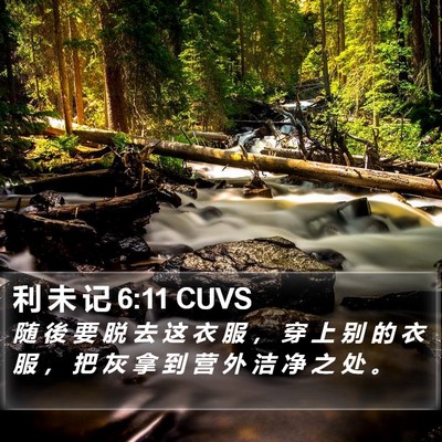 利 未 记 6:11 CUVS Bible Verse Image