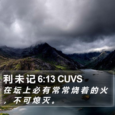 利 未 记 6:13 CUVS Bible Verse Image
