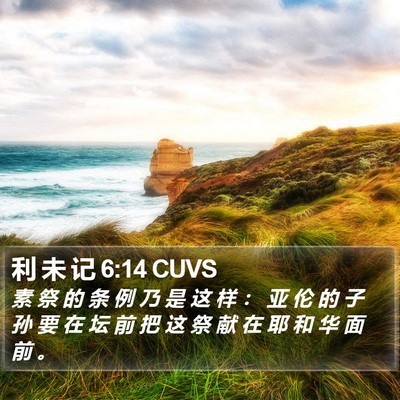 利 未 记 6:14 CUVS Bible Verse Image