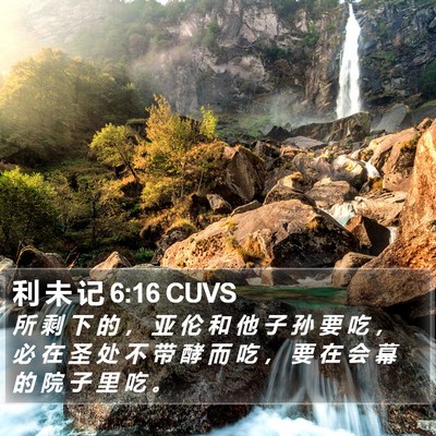利 未 记 6:16 CUVS Bible Verse Image