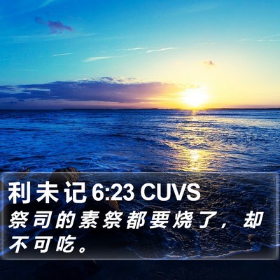 利 未 记 6:23 CUVS Bible Verse Image