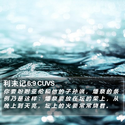 利 未 记 6:9 CUVS Bible Verse Image