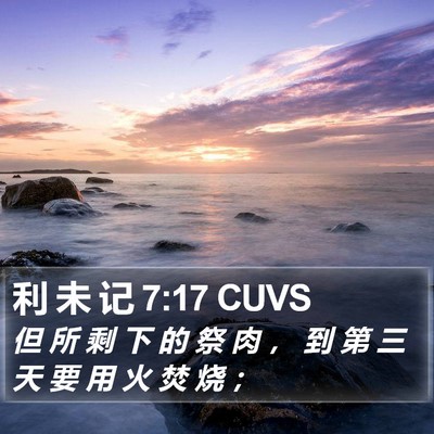 利 未 记 7:17 CUVS Bible Verse Image