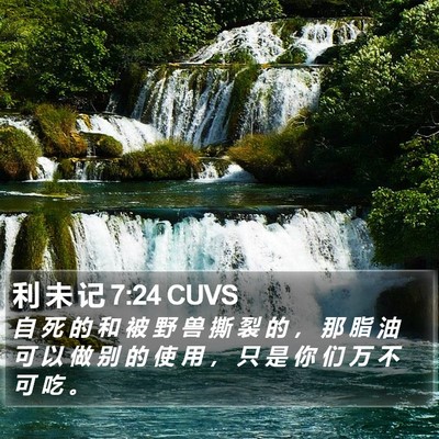 利 未 记 7:24 CUVS Bible Verse Image