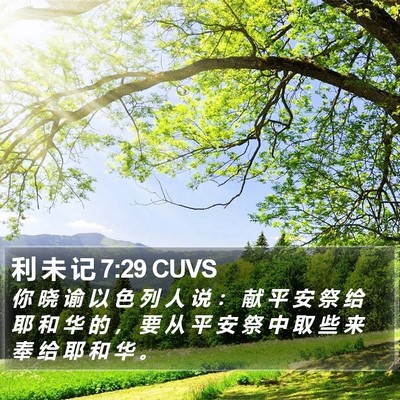 利 未 记 7:29 CUVS Bible Verse Image