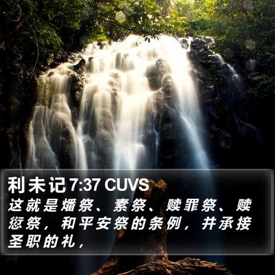 利 未 记 7:37 CUVS Bible Verse Image