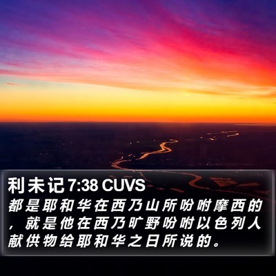 利 未 记 7:38 CUVS Bible Verse Image