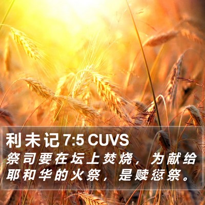 利 未 记 7:5 CUVS Bible Verse Image