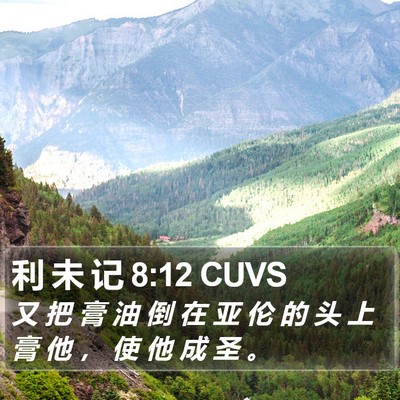 利 未 记 8:12 CUVS Bible Verse Image