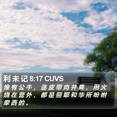 利 未 记 8:17 CUVS Bible Verse Image