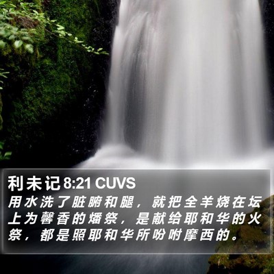 利 未 记 8:21 CUVS Bible Verse Image